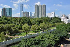 Image of Strawberry Hostel